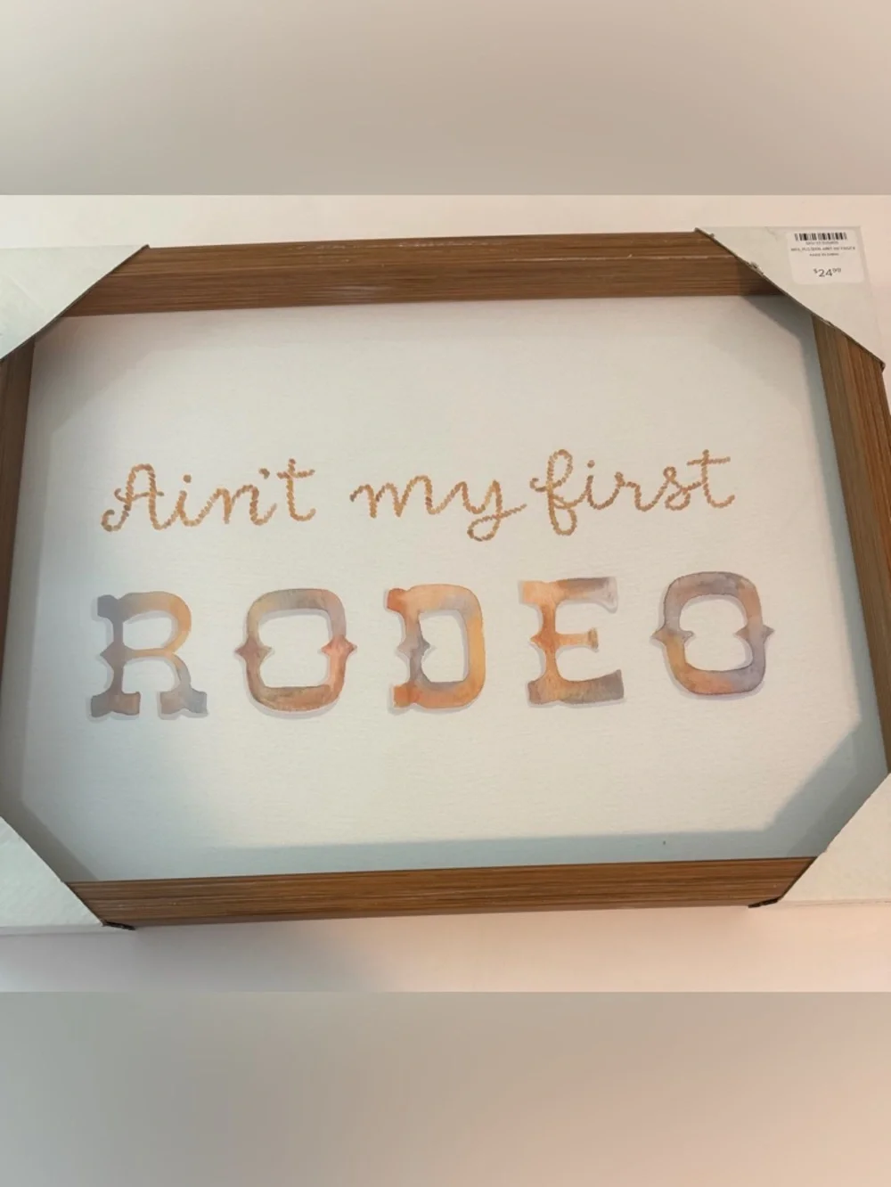 Ain't My First Rodeo Framed Wall Art